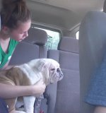 ride home.jpg ride home.jpg