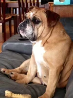 Roxie-1_zps524339fa.webp