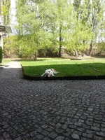 2014-04-18 12.29.35.webp 2014-04-18 12.29.35.webp