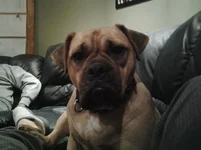 20141129_205256.webp