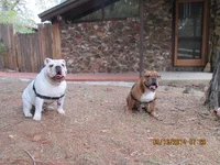 IMG_0270.webp IMG_0270.webp