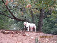 IMG_0277.webp IMG_0277.webp