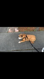 IMG_0587[1].webp