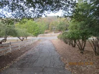 IMG_0269.webp IMG_0269.webp