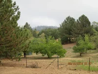 IMG_0289.webp IMG_0289.webp