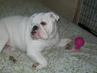 100_0527.webp
