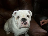 100_0528.webp