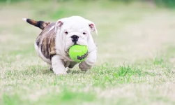 9106_10151641561099621_817067538_n.webp