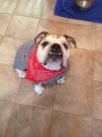 Winston - Lonestar.jpg Winston - Lonestar.jpg