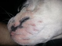 20140629_220550.jpg 20140629_220550.jpg