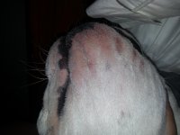 20140629_220511.jpg 20140629_220511.jpg