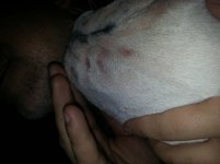 20140629_220458.jpg 20140629_220458.jpg