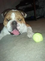 ImageUploadedByTapatalk1404601475.378504.webp