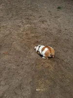 image.webp