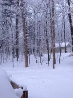 image.webp