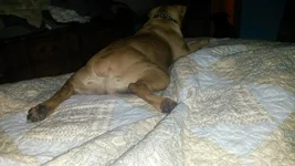 20140706_204731.webp