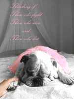 Fightcancer.webp