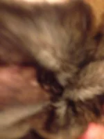 April 2014 025.webp