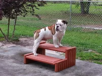 20140415_183410.webp