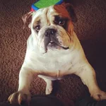 My Sweet Boy.webp