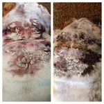 treatment week 2-3.webp