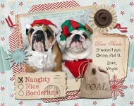 26-December Photo.webp