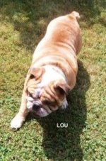 LOU 1.jpg