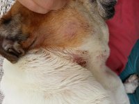 20140919_095231.jpg 20140919_095231.jpg