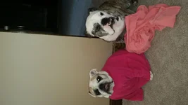 20140919_101925.webp