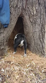 20131130_154730.webp