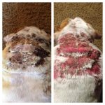 Before and After Bath Dec 3.jpg