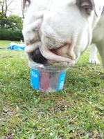 2014-04-21 15.05.21.webp