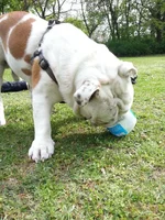 2014-04-21 15.06.49.webp