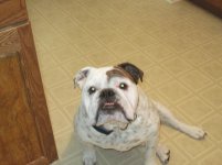 IMG_0094.jpg IMG_0094.jpg