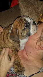 Winston.webp