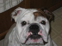 IMG_3678.jpg IMG_3678.jpg