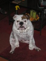 IMG_2860.jpg IMG_2860.jpg