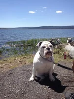 IMG_5668[1].webp