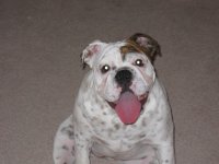 IMG_2646.jpg IMG_2646.jpg