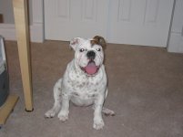 IMG_2473.jpg IMG_2473.jpg