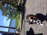 IMG_5657[1].webp