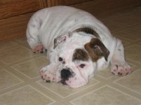 IMG_2149.jpg IMG_2149.jpg