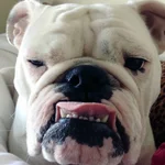 matiilly_001.webp