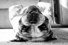 Ellie B-W 2.2.jpg Ellie B-W 2.2.jpg