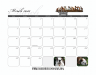 7-March Dates.png 7-March Dates.png