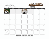 11-May Dates.png 11-May Dates.png