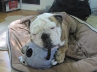 Frank 4th Birthday July 2014 014.jpg Frank 4th Birthday July 2014 014.jpg
