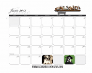 13-June Dates.png 13-June Dates.png
