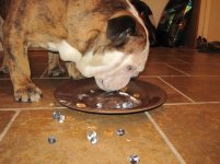 Frank 4th Birthday July 2014 034.jpg Frank 4th Birthday July 2014 034.jpg