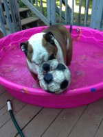 IMG_9750.jpg IMG_9750.jpg